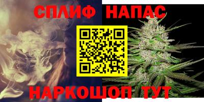 сатива Бугуруслан