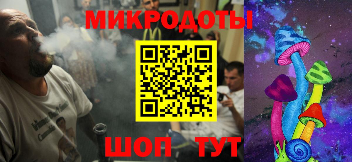 Галлюциногенные грибы Psilocybe Нефтеюганск