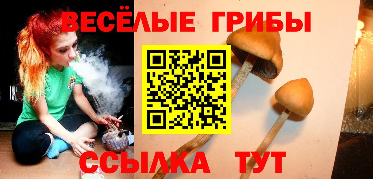 Нефтеюганск  Псилоцибиновые грибы Psilocybine cubensis  Вход с VPN 